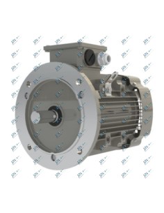 Moteur triphasé 8 pôles - 750 tours/mn 2